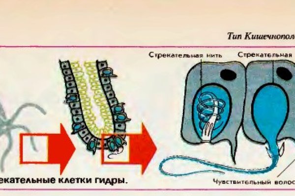 Кракен нар