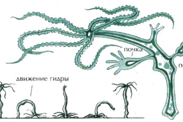 Ссылки в тор