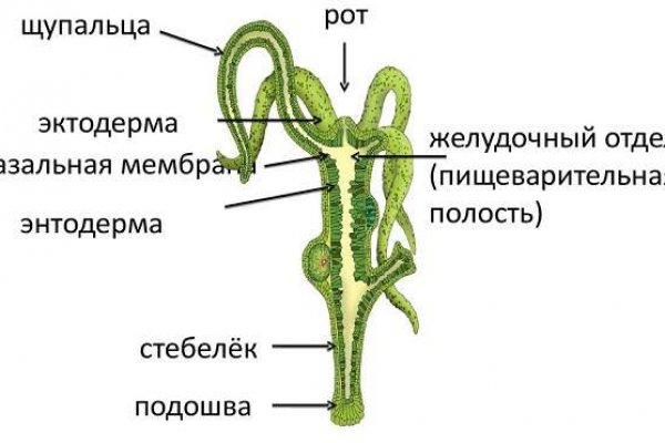 Магазин kraken даркнет