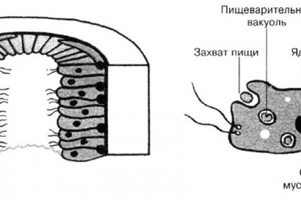 Как зайти в кракен торе