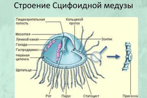 Где найти рабочую ссылку кракен